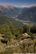 20060831_150443 Il panoramico sentiero sulla Bregaglia tra le alpi Cima e Forcola.jpg